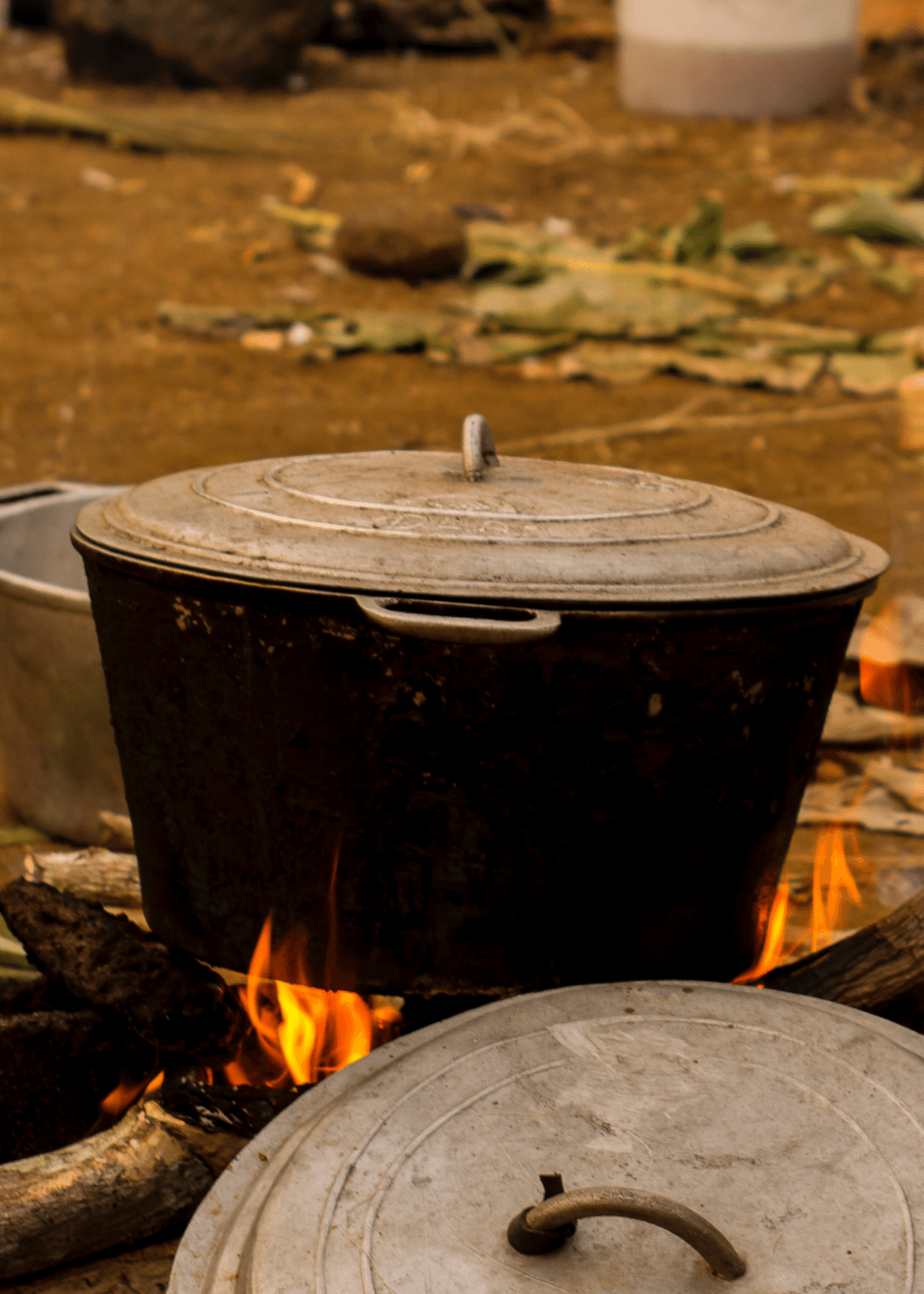 The 7 Best Dutch Ovens For Camping