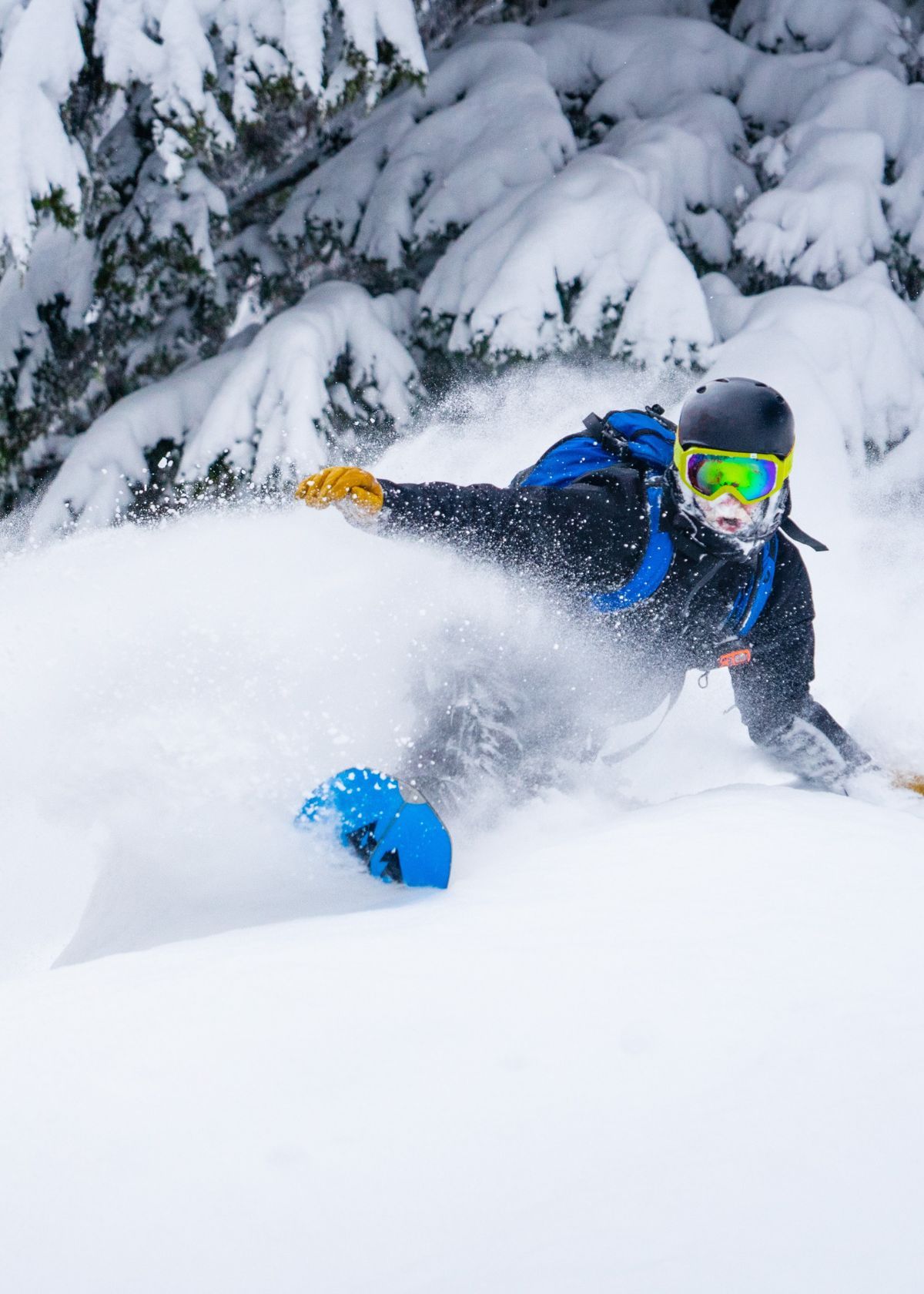The Best Powder Snowboards For This 202223 Season